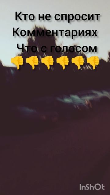 вайбик