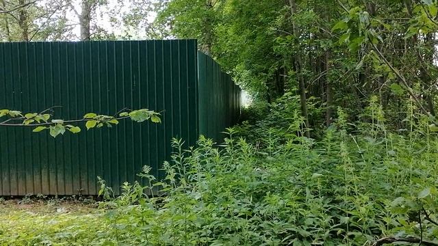 22.06.2025.Усадьба Парк Кино Ляхово. Парк Кошек. Домодедово. Безхозный участок. Обзор. Московская об