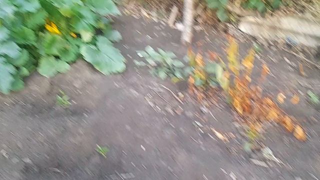 1000153977.mp4