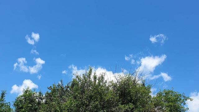 Философия облаков