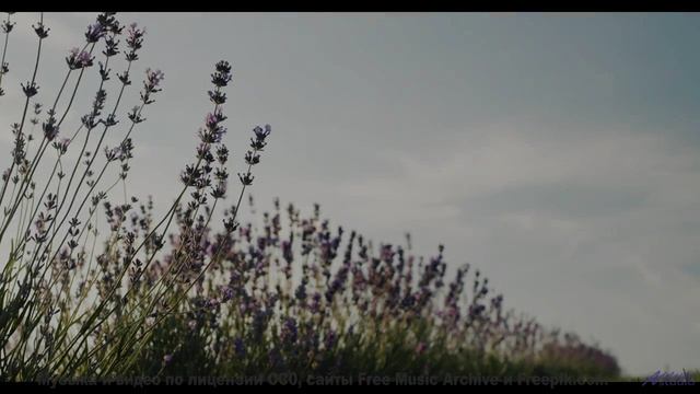 Музыка будущего, которую создал искусственный интеллект! - Earth and Sun -- Derek Clegg -- The Best