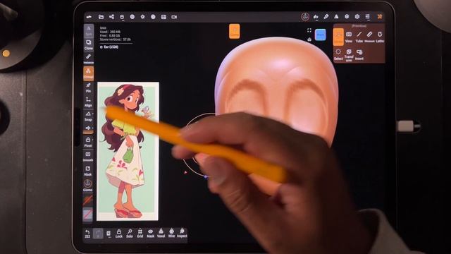 4_Face Shaping