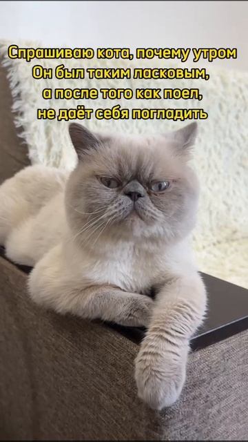 «Одноразовое разрешение на ласку»