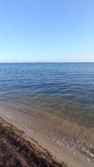 22.06.2025 Таманский залив