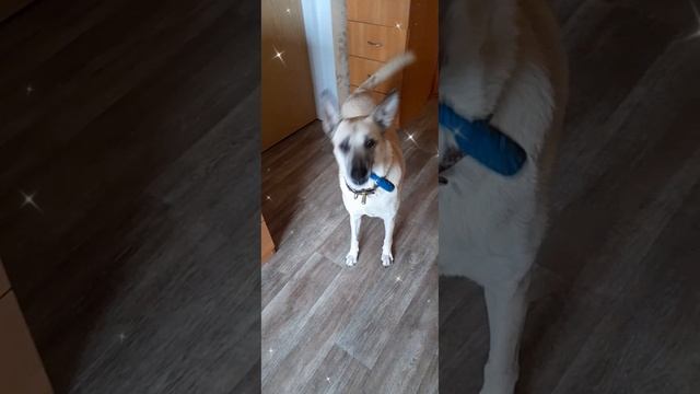 1000146732.mp4