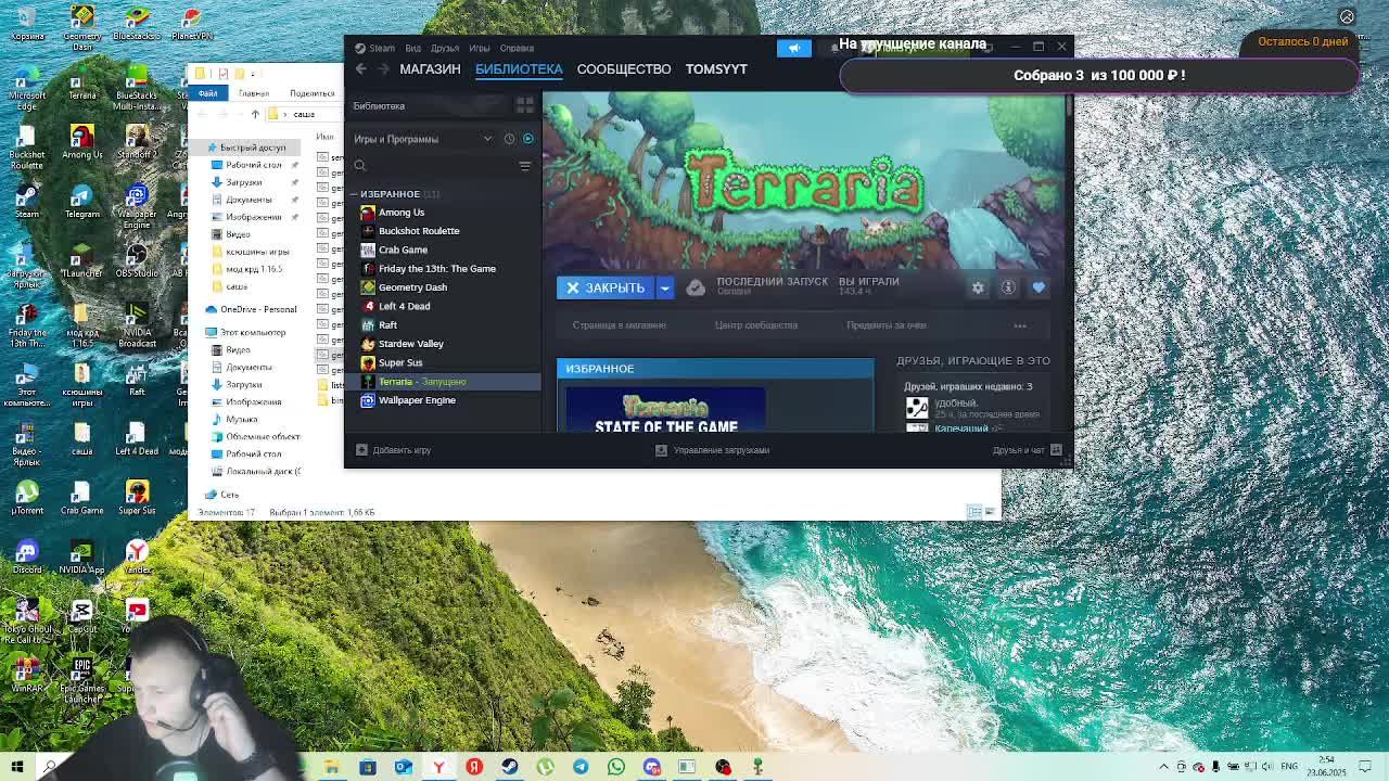 Идёт стрим по Terraria