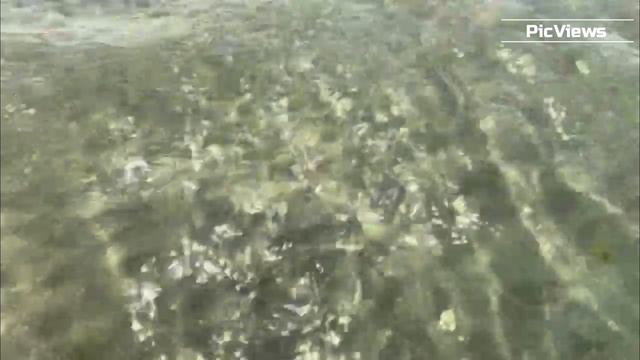 Анапа Джемете сегодня 22 июня 2025. Обстановка на пляже море и погода сейчас. Мазута почти нет!