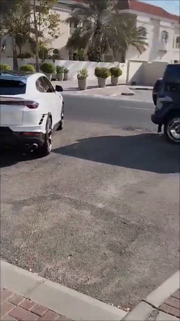 1000021852.mp4