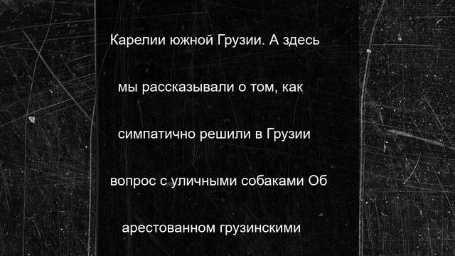 Петрозаводские туристы попали на открытие сезона в Батуми и прислали в МК в Карелии солнечно-пляжное