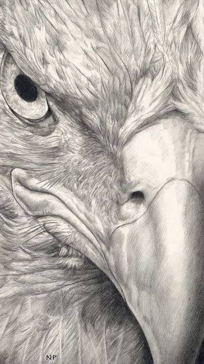 Гордый Орёл 🦅