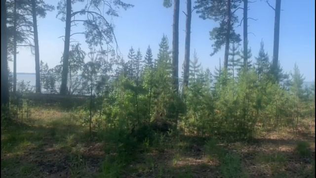 Только женственная женщина привлекает в свою жизнь сильного мужчину