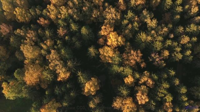 Музыка для слияния с искусственным интеллектом - готовы ли вы стать больше, чем человек - Foundation