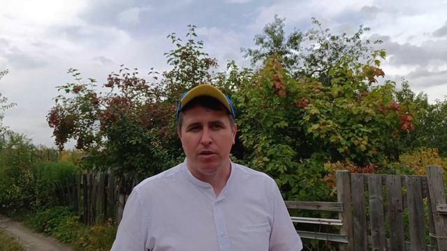 Полёт в никуда