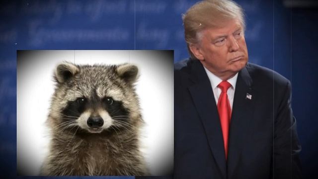 Трамп идиот?.. 
Часть вторая.
