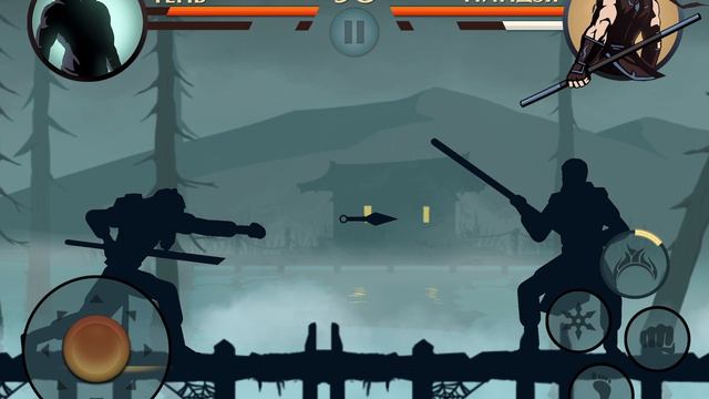 Летний Бой в Shadow Fight 2 № 328