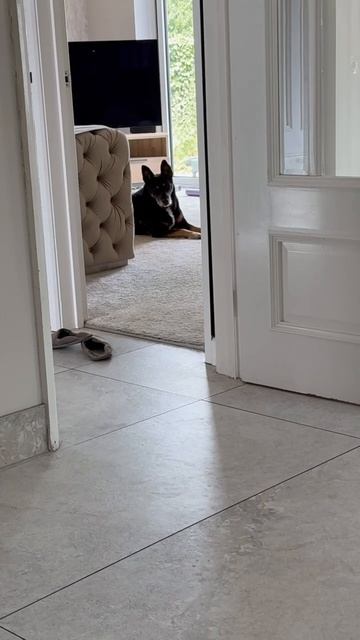 Наши "выпускники". Дом, милый дом 🏡 ❤️