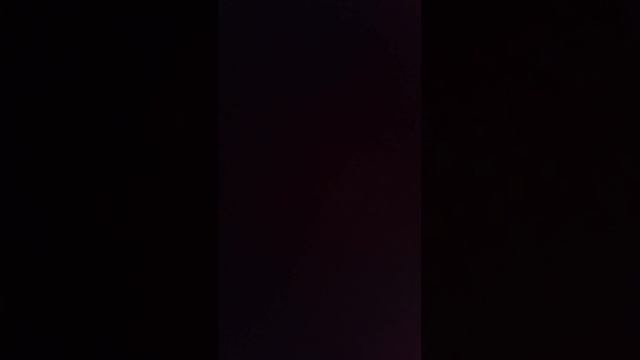 болото из лужи, удивительные микро существа