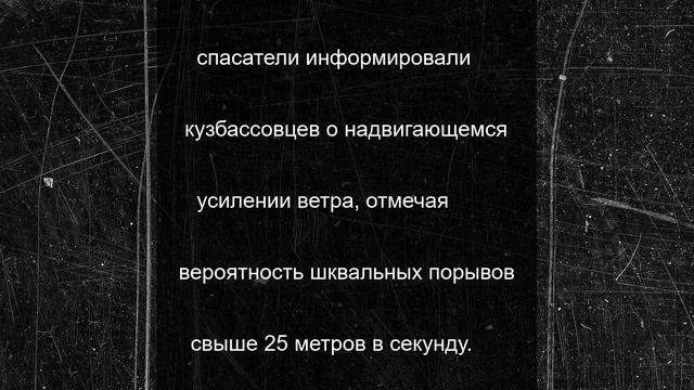 Мощный ураган в Кемерове переломал дерево и разметал мусорные баки