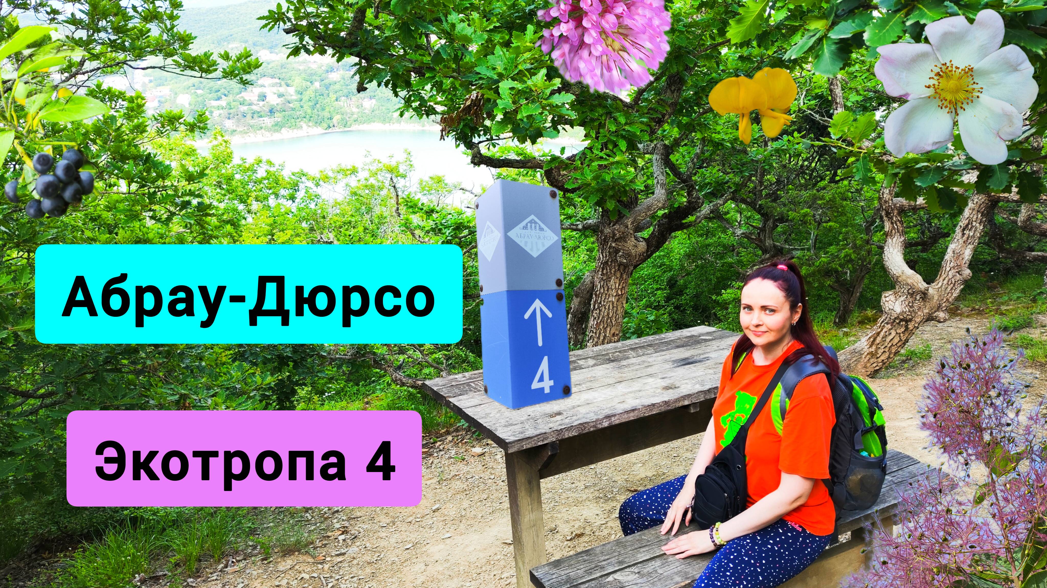 #153 Абрау-Дюрсо поход по живописной экотропе номер 4 #леснаяцаревна #пойдемсомной #sumkiberry