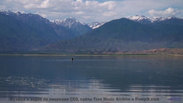 Хочется раствориться в зелени и музыке одновременно - The Way I Feel -- Derek Clegg -- Good Graces