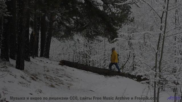 Природа, увиденная через квантовый микроскоп - невероятные детали! - Bee Careful Of Da Beez -- Lance