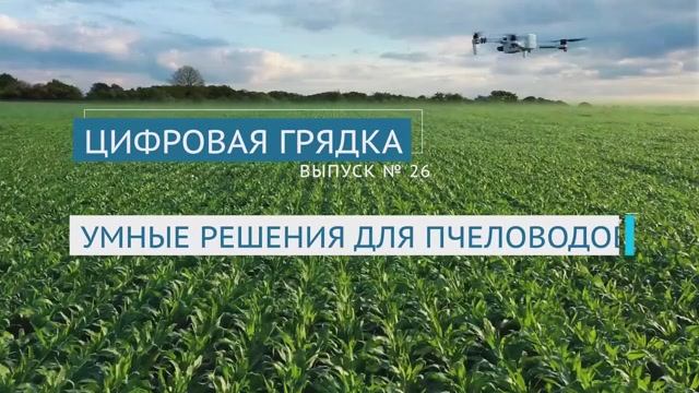 Умные решения для пчеловодов