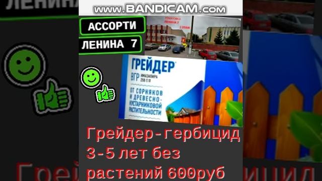 bandicam 2025-06-22 14-43-11-309