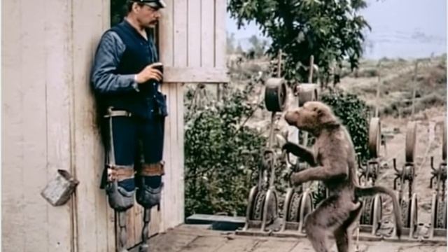 Инвалид и обезьяна