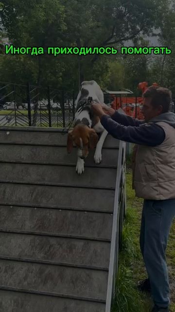Пряник в Кионологическом парке