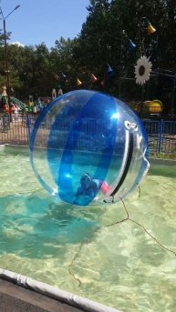 морковь про