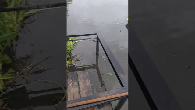 мини комбайн для очистки водоёма