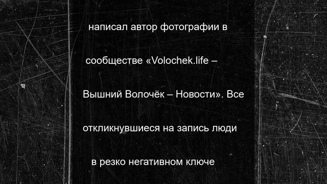 В Тверской области в лесу нашли привязанной к дереву мертвую собаку