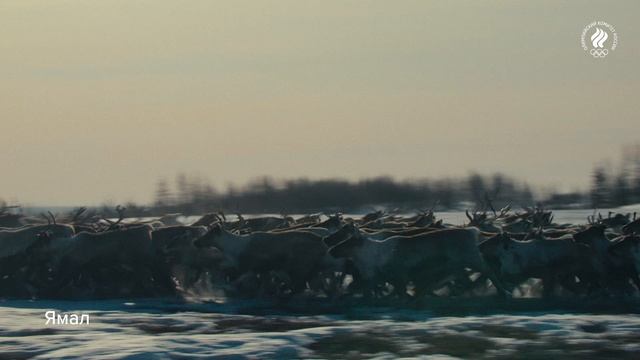 «Великая страна — спортивная страна»