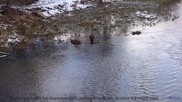 Закройте глаза и представьте его... Эта музыка проведёт вас через мечты! - Typewriter -- Mise Darlin
