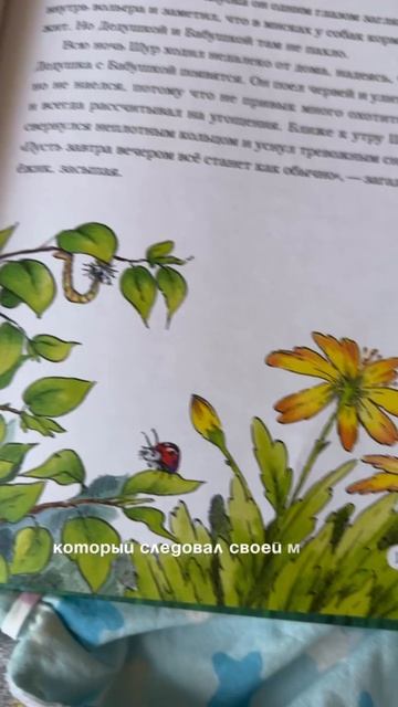 Обзор на книгу «Садовый ежик Шур»