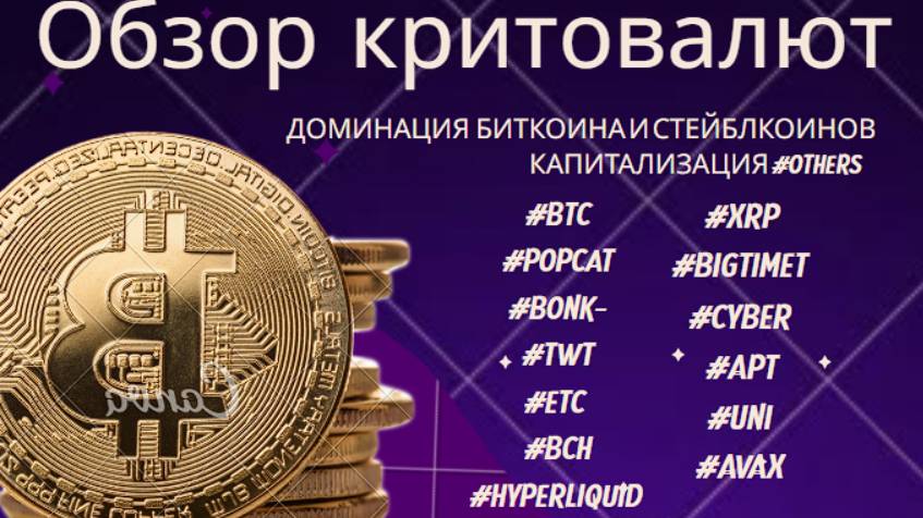 Обзор крипты: доминация,стейблкоины, BTC, Popcat, Bonk,TWT, ETC, BCH, HYPERLUIQUID, XRP, BIGTIME др