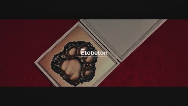 Центр "Амурский Тигр" - производство слепка лапы | ETOBETON