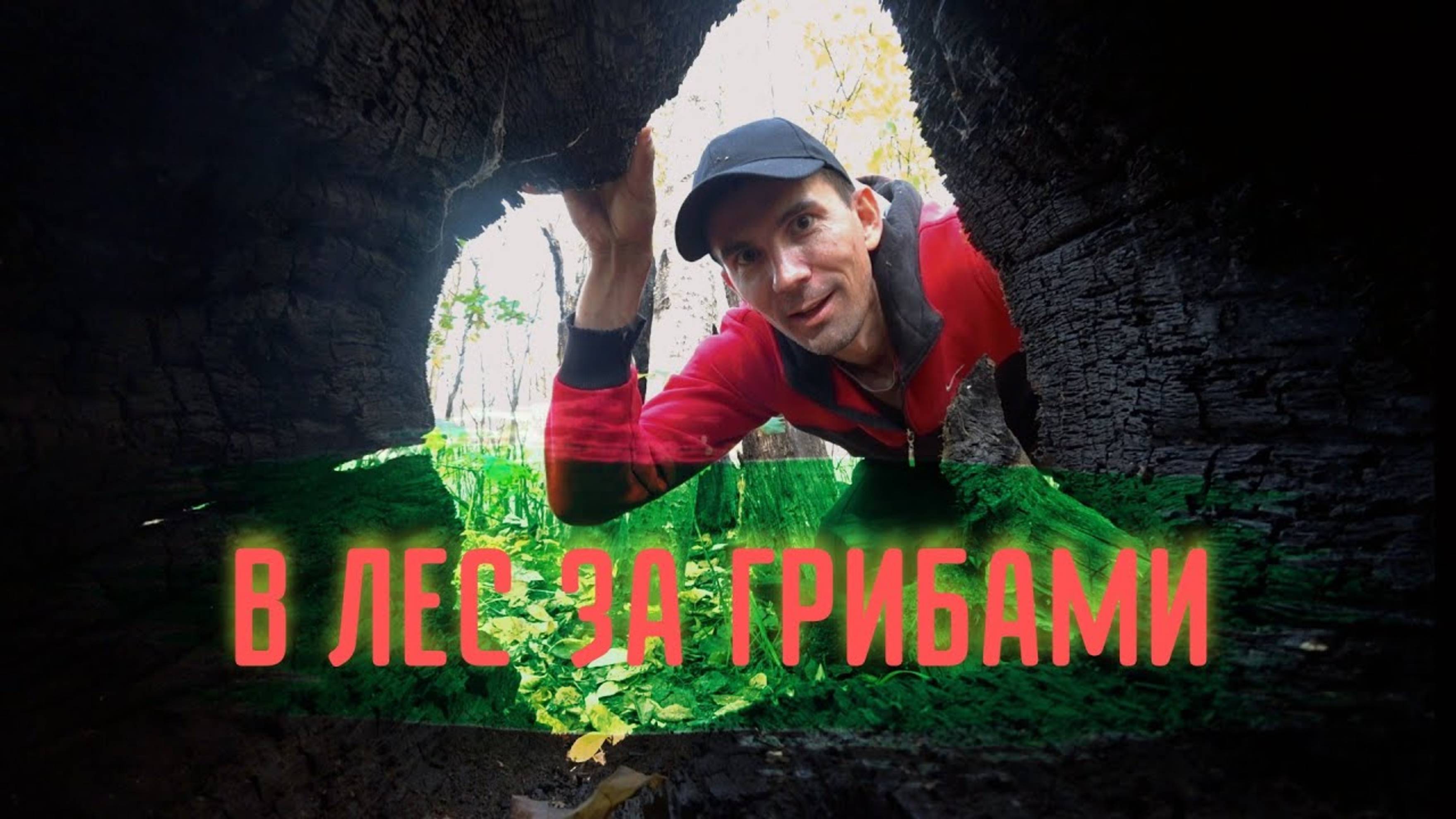 НЕКОГДА СХОДИТЬ ЗА ГРИБАМИ?СМОТРИ ВИДЕО