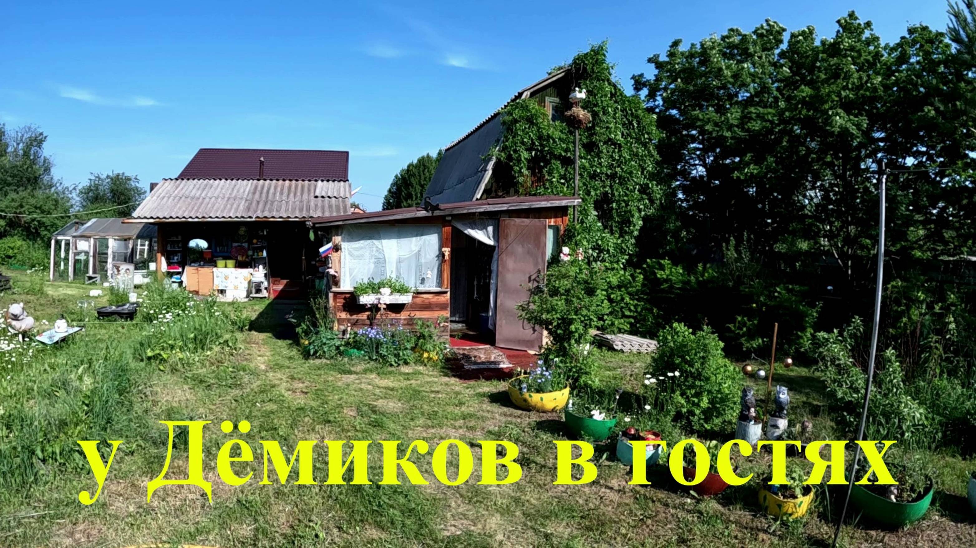 у Дёмиков в гостях