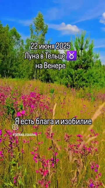 22 июня 2025 г.