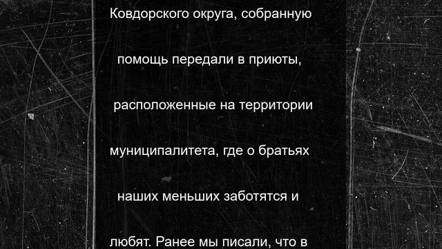 Ковдорчане собрали помощь для приютов в рамках акции «Помоги другу меньшему»