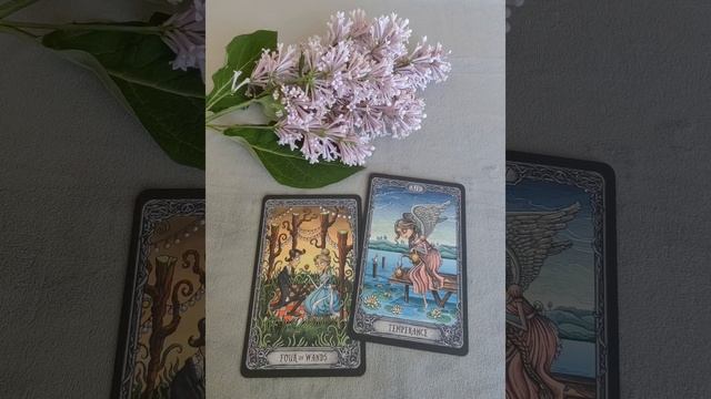 Стрельцы ♐, ваша неделя с 23 по 29 июня.