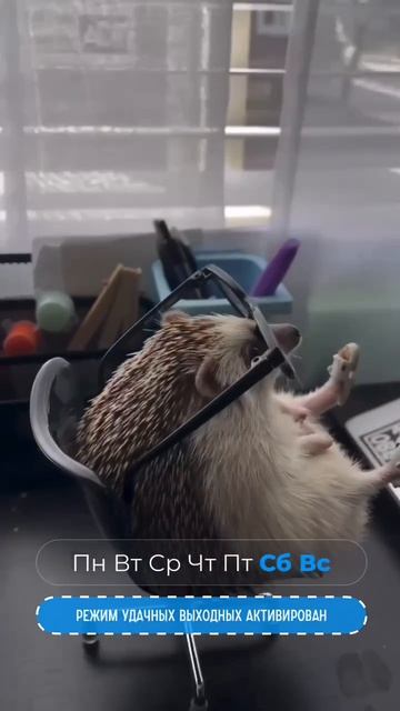 .