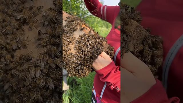 Уральская девушка #уралочка #уральскаядевушка