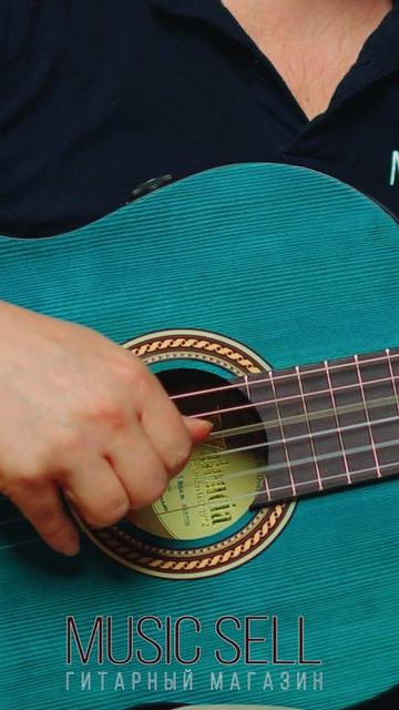 ТРАНСАКУСТИЧЕСКАЯ ГИТАРА С НЕЙЛОНОМ VALENCIA ЦВЕТ СИНИЙ WINNER - MUSIC SELL