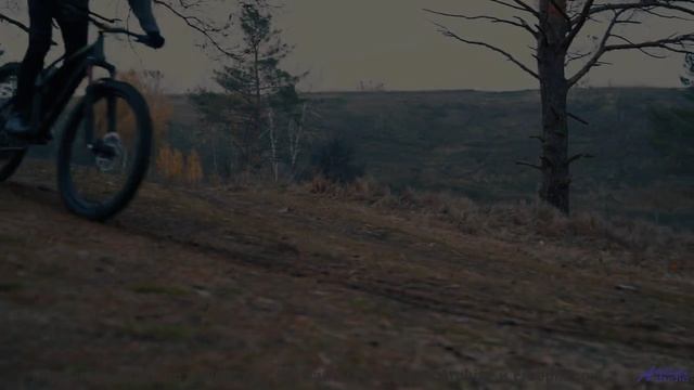 Эта музыка - воздух для гор! - Violences -- Roboy -- Le Petit chat doit mourir