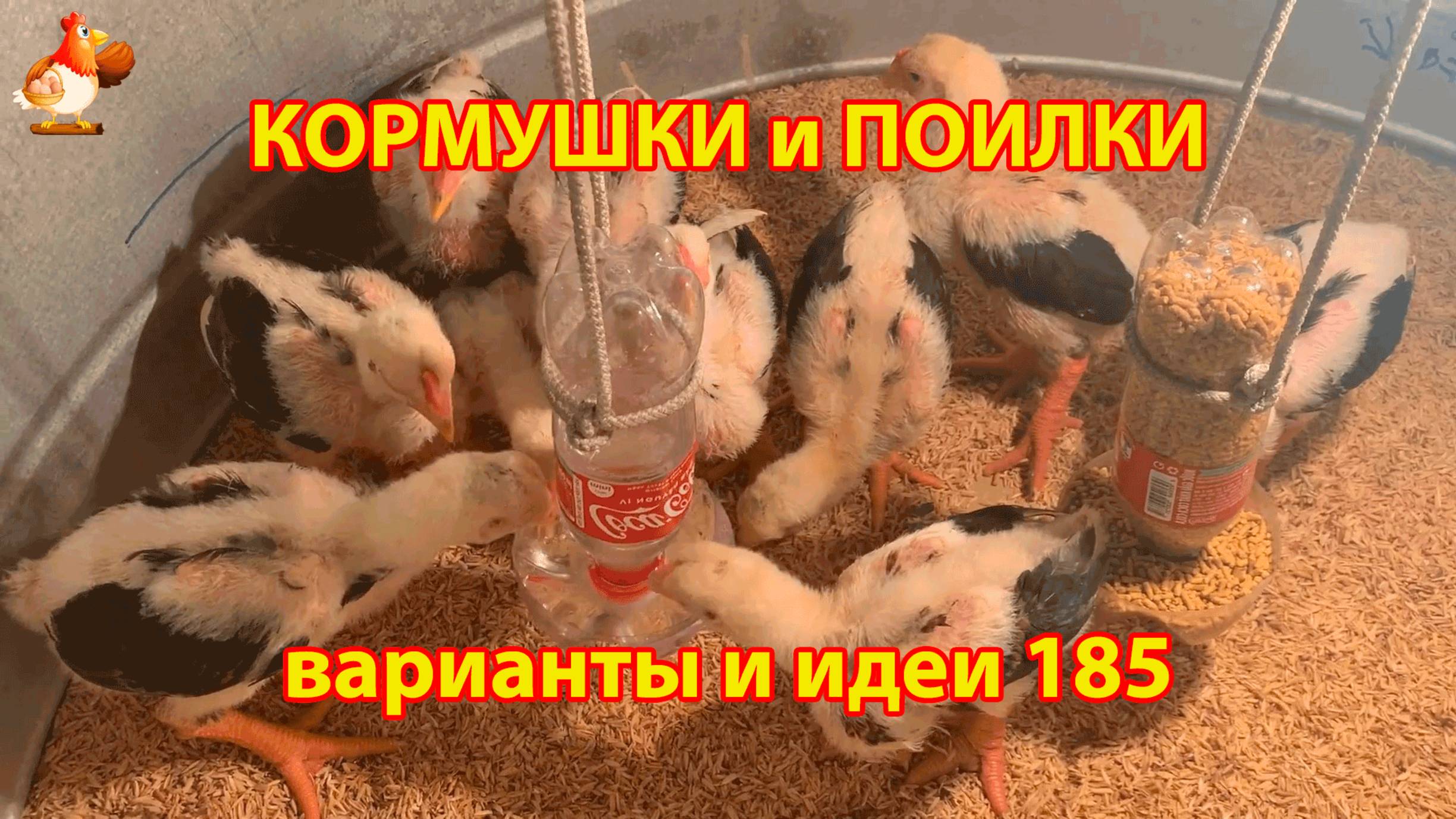 Кормушки и поилки для кур своими руками (185) 🪚✂️ Пошаговая инструкция как сделать 🐔 🐓❣️