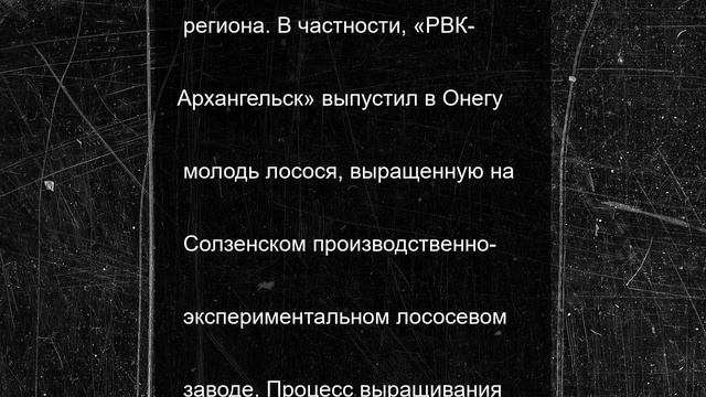 В Онегу выпустили более 57 тысяч мальков ценных пород рыб