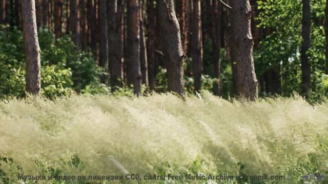 Мелодия, делающая даже дождь за окном машины романтичным - U Think U -- Glad Rags -- Wonder Under