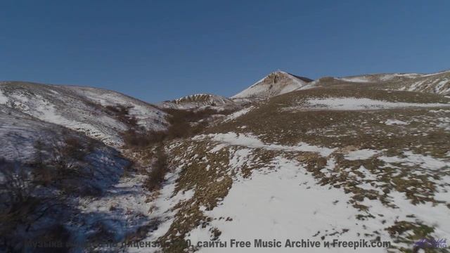 Сердце рвётся наружу, когда ритм совпадает с кадрами - Chaudes larmes dun reporter candide -- Fourmi